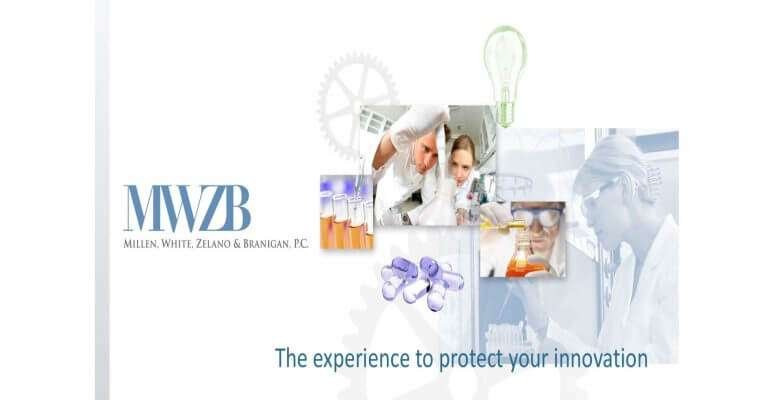 IDS and Final OA webinar coverpage